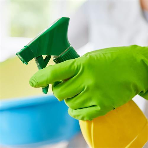 All-Natural Glass Cleaner